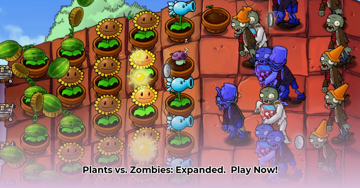 pvz-expanded-and-enhanced-download
